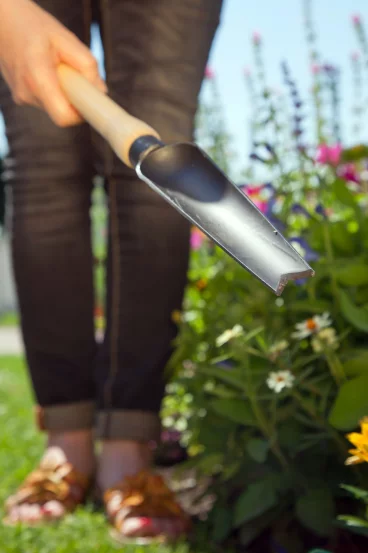 Лопатка для прополювання та висаджування