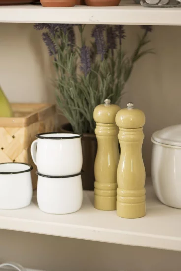 Набір сільничка та перечниця Mustard