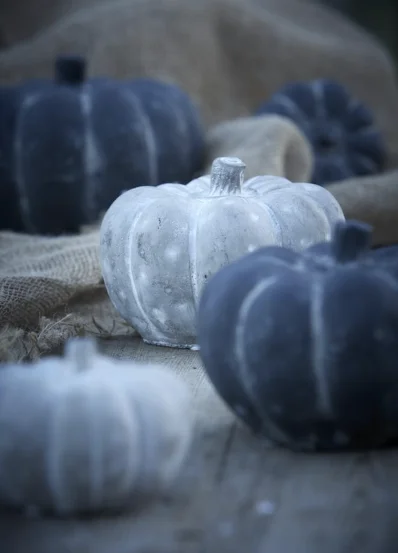 Гарбузик сірий L