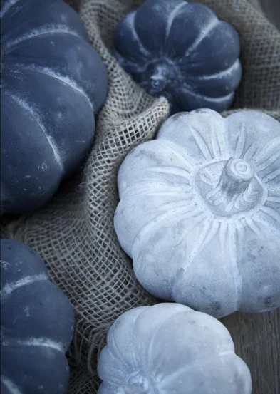 Гарбузик сірий XL