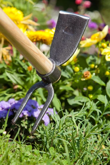 Універсальна сапка для грядок, 40 см