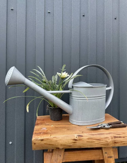 Лійка для рослин 3л