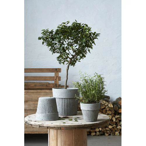 Кашпо для рослин ANITA,18*17 см