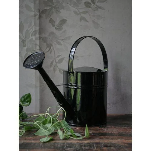 Лійка для рослин ARIELLA Black, 5,5 л