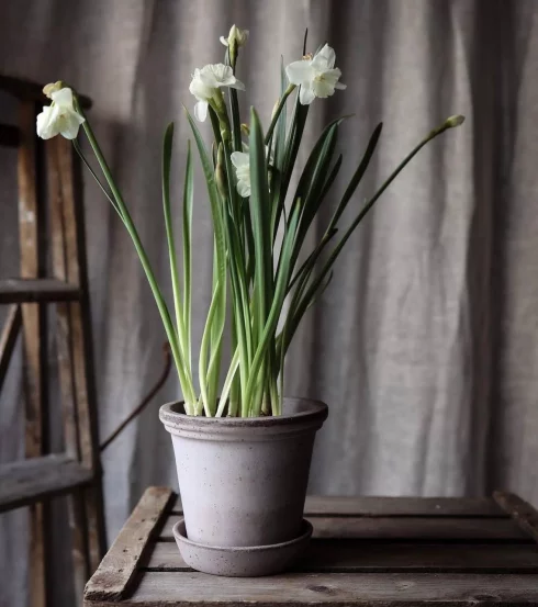 Горщик для рослин Flora Grey,30*24 см