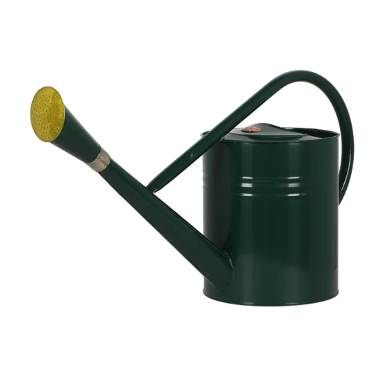 Вінтажна лійка для рослин, 7л