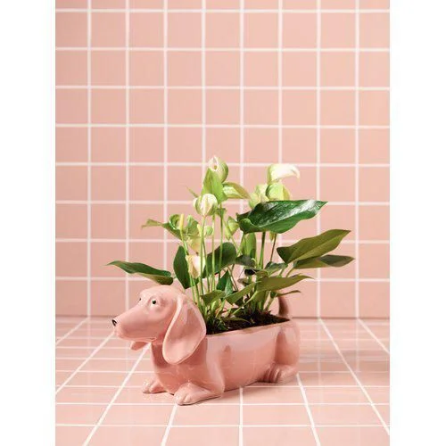 Кашпо для рослин Такса, 40x15x17 см