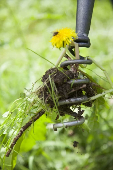 Інструмент для видалення кульбаби, 80 см