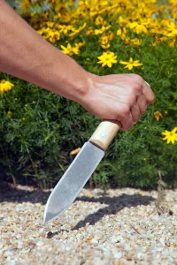 Міцний садовий ніж для посадки