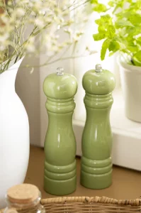 Набір сільничка та перечниця Green