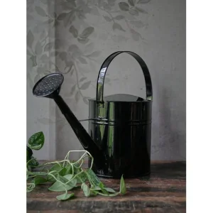 Лійка для рослин ARIELLA Black, 5,5 л