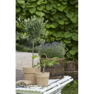 Кашпо для рослин ANITA,21*20 см