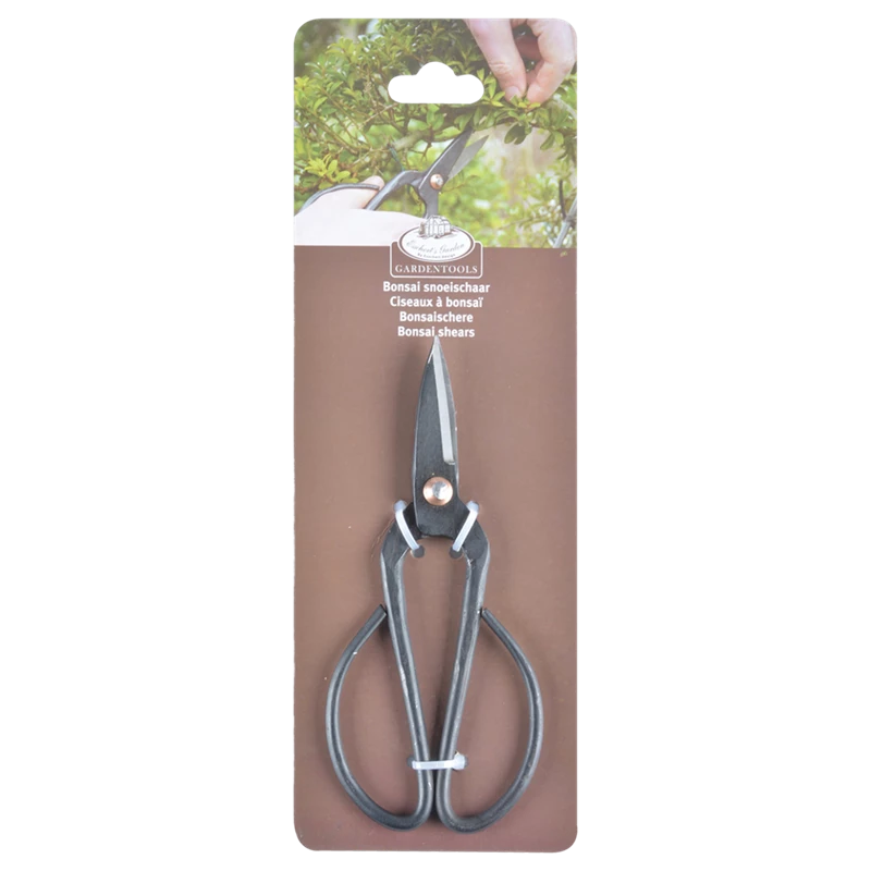 GT55_02-ratio-width-800-png